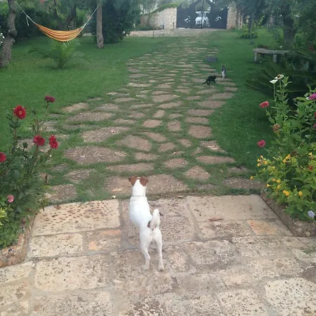 B&B Govinda Shanty House 3*